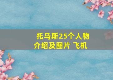 托马斯25个人物介绍及图片 飞机